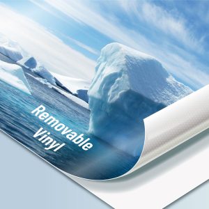 Removable Adhesive Vinyl